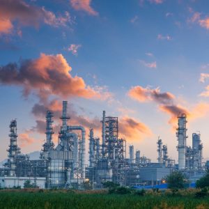 Petrochemical power plant