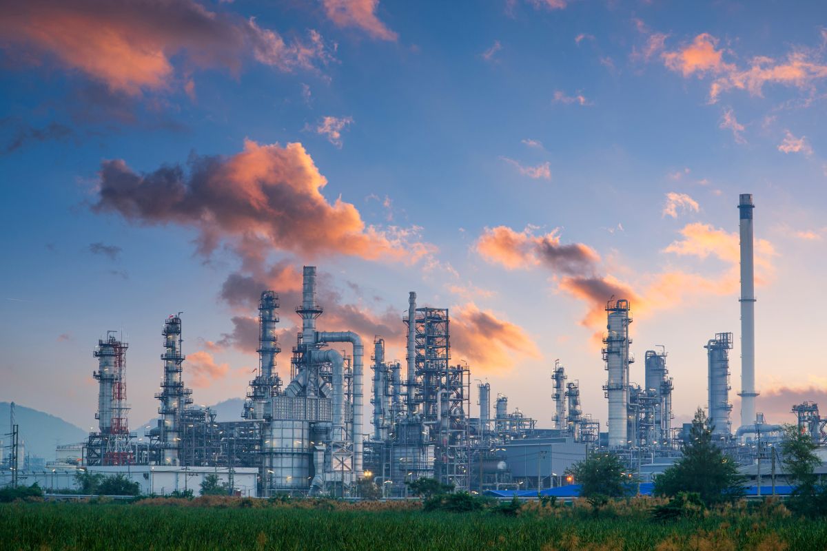 Petrochemical power plant